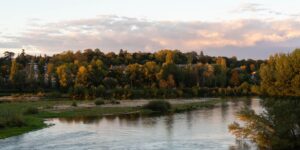 Loire avec les arbres