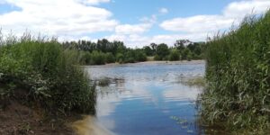 La Loire et la nature